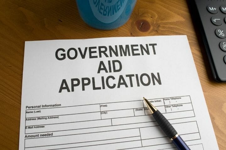 What Is A Government Assistance Program