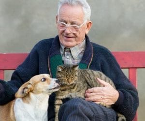 Helping Senior Parents Care For Pets
