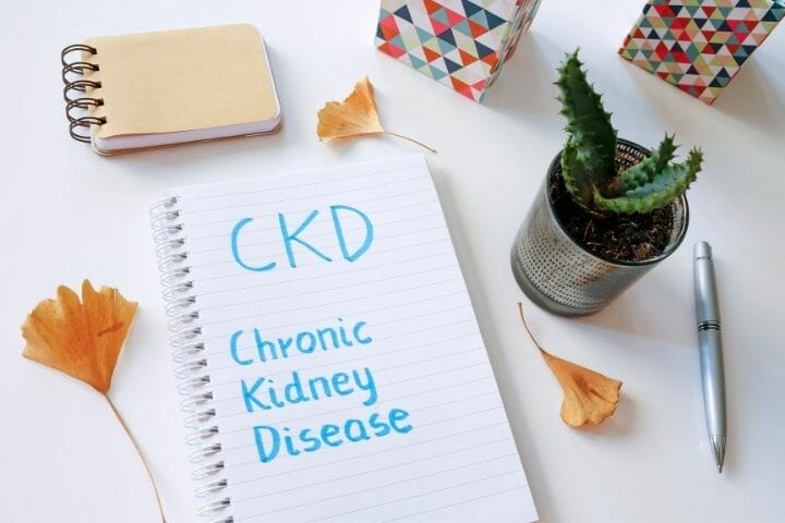 How To Improve Kidney Function In the Elderly