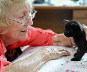 Amazing Benefits Pets Bring To Seniors