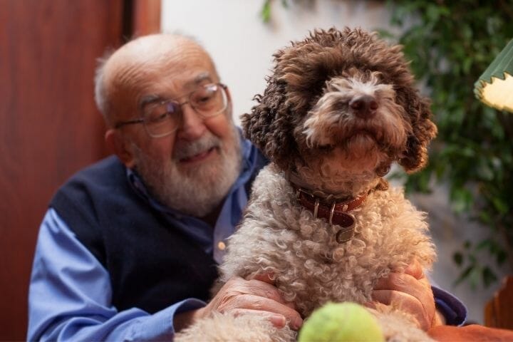 Helping Senior Parents Care For Pets