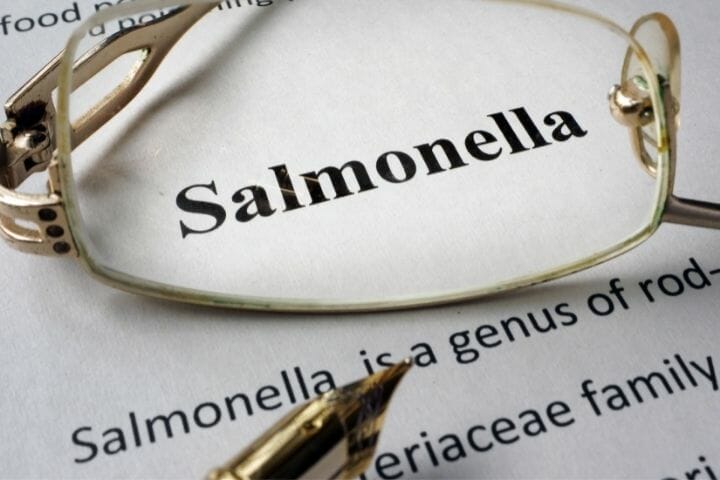 Can You Kill Salmonella by Cooking? By Microwaving?