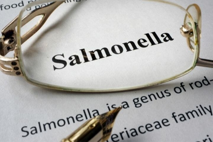 Can You Kill Salmonella By Cooking