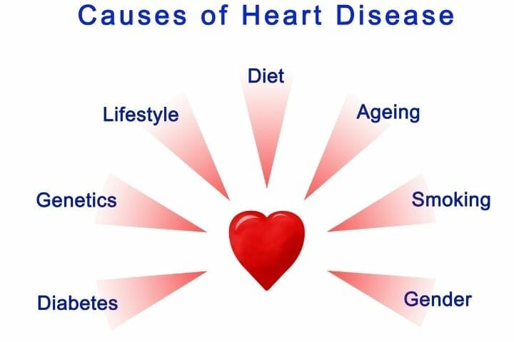 Heart Disease In Women Statistics