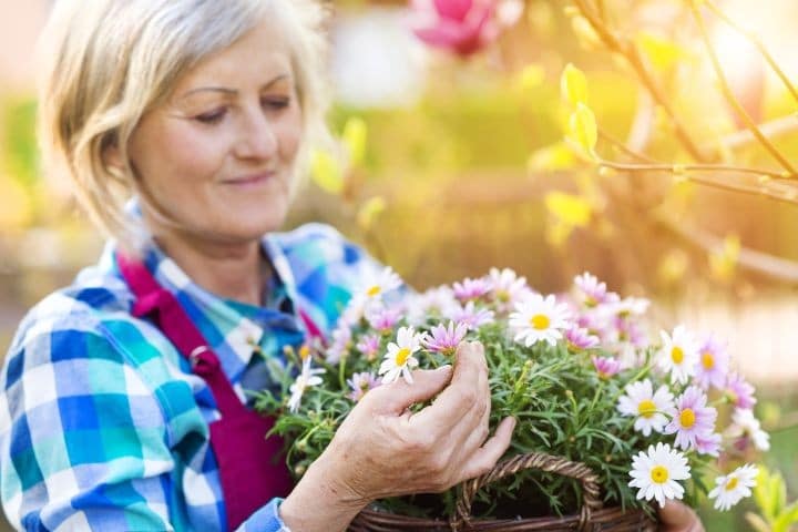 Benefits of Gardening for Seniors - RespectCareGivers