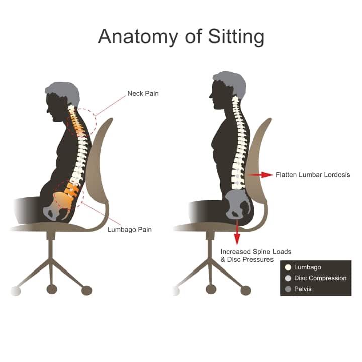 Best Office Chair For Someone With Sciatica Best Office Chair for Sciatica - RespectCareGivers