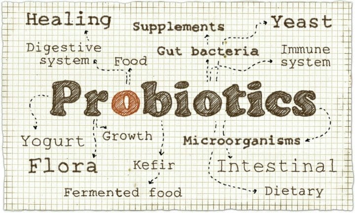 Best Time To Take Probiotics Before Bed