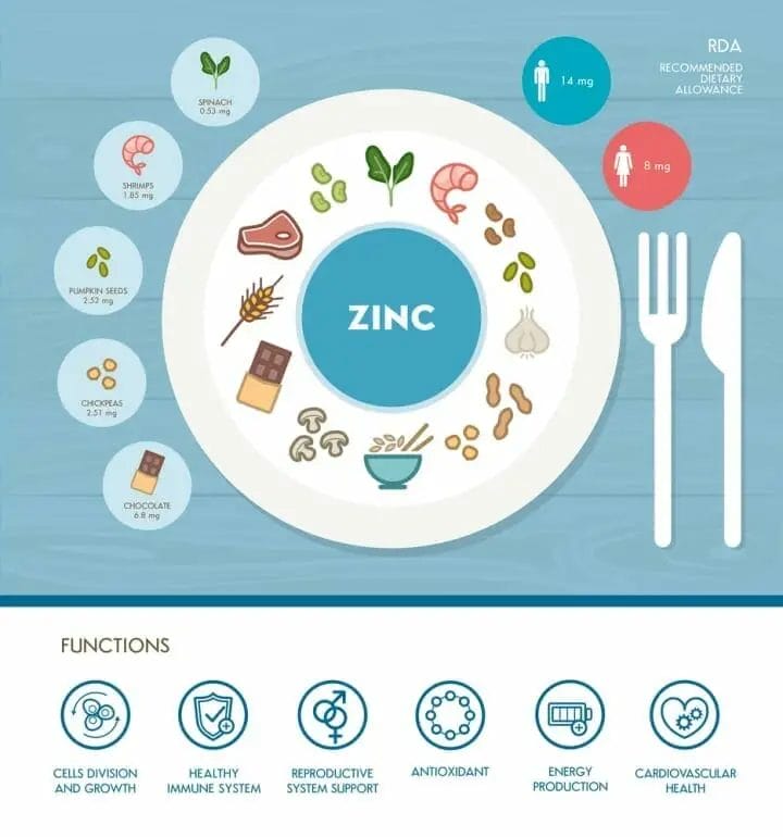 Best Zinc Supplements For Seniors
