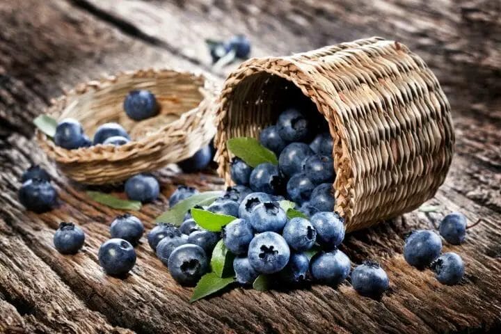 Blueberries for Osteoporosis Diet