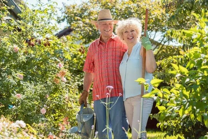 Best Gardening Tools for Seniors
