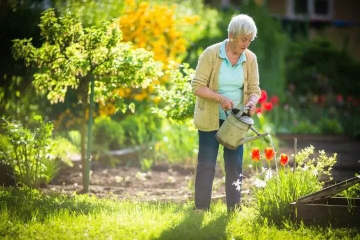 Gardening as A Growing Trend