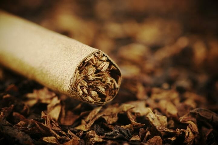 Tobacco and cigar