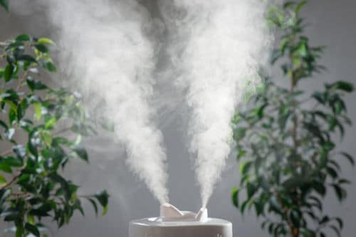What are the Benefits of a Humidifier? Manifold, ranging from ease of congestion to reduced snoring.